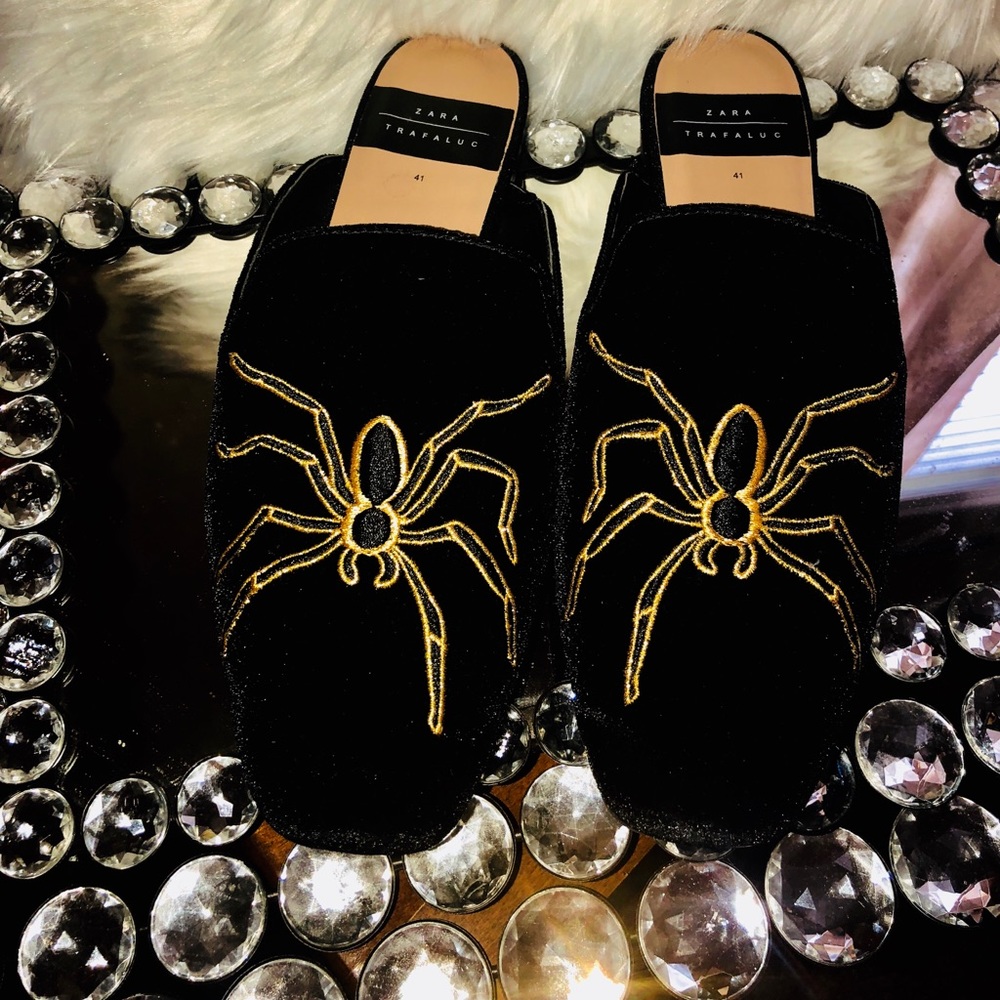 Zara’s